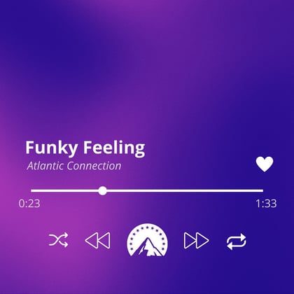 Funky Feeling album by Atlantic Connection - Drum and Bass Cover Art