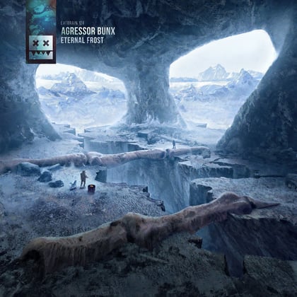 Eternal Frost album by Agressor Bunx - Drum and Bass Cover Art