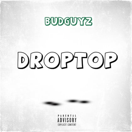 DROPTOP album by Seba - Drum and Bass Cover Art