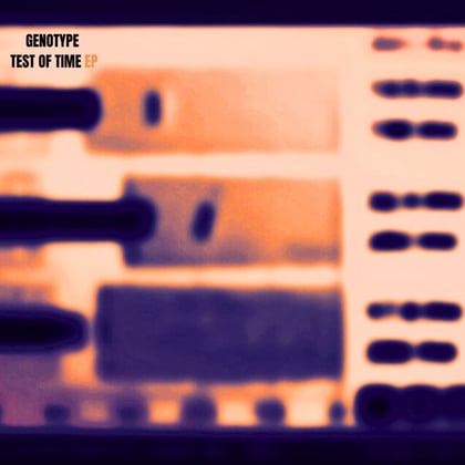 Test Of Time album by Genotype - Drum and Bass Cover Art