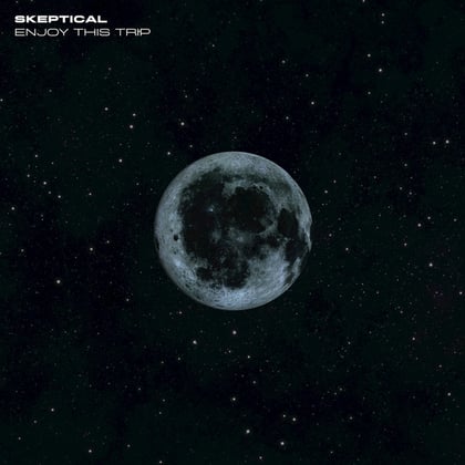 Enjoy This Trip album by Skeptical - Drum and Bass Cover Art