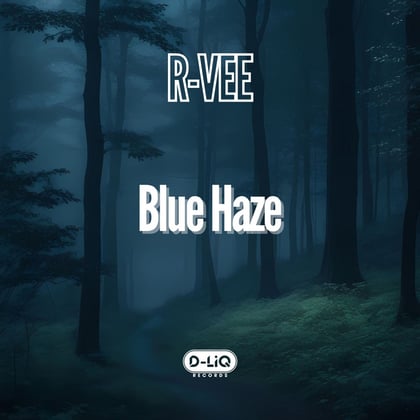 Blue Haze album by R-Vee - Drum and Bass Cover Art