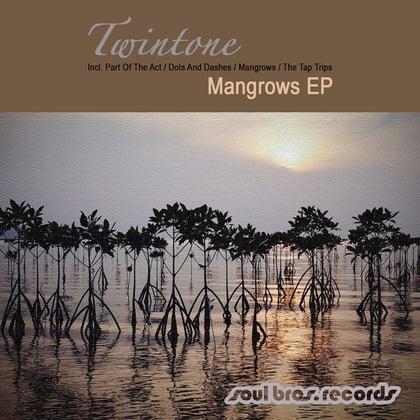 Mangrows EP album by Dan Guidance & Twintone - Drum and Bass Cover Art