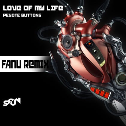 LOVE OF MY LIFE REMIX album by Fanu - Drum and Bass Cover Art