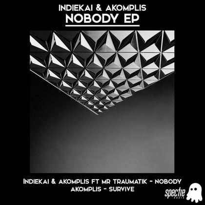 Nobody album by Mr Traumatik, Indiekai & Akomplis - Drum and Bass Cover Art