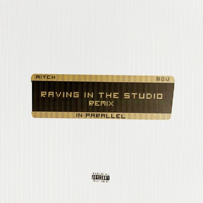 Raving In The Studio (IN PARALLEL Remix) album by Bou - Drum and Bass Cover Art