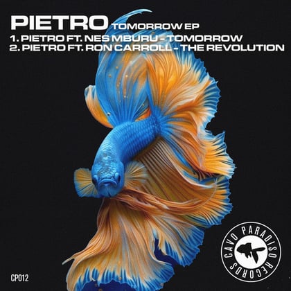 Tomorrow album by Tengu, Pietro & Ron Carroll - Drum and Bass Cover Art
