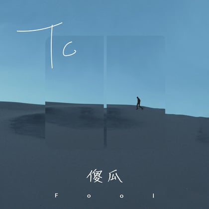 傻瓜 album by TC - Drum and Bass Cover Art