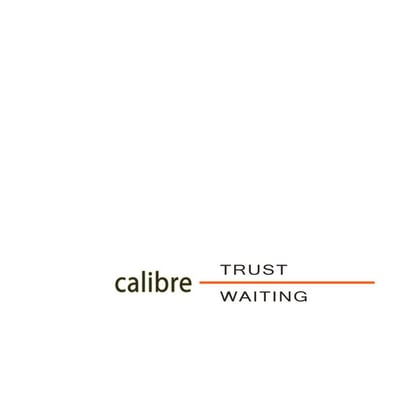 Trust / Waiting (2024 Remasters) album by Calibre - Drum and Bass Cover Art