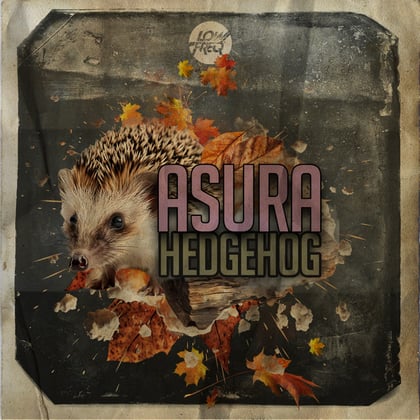 Hedgehog album by Asura - Drum and Bass Cover Art