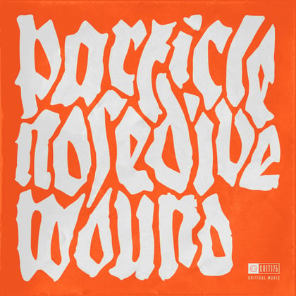 Nosedive / Wound album by Particle - Drum and Bass Cover Art