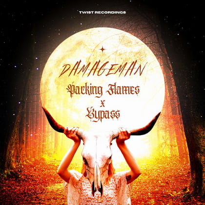 Packing Flames / Bypass album by Damageman - Drum and Bass Cover Art