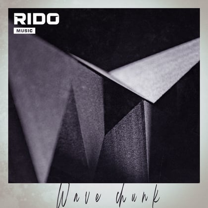 Wave Chunk album by Rido - Drum and Bass Cover Art