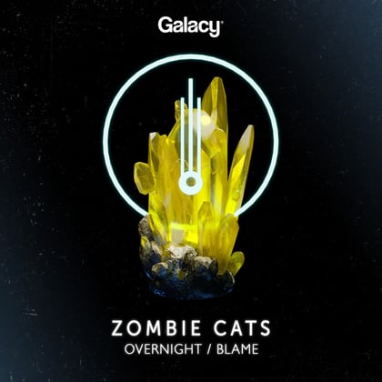 Overnight / Blame album by Zombie Cats - Drum and Bass Cover Art