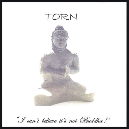 I Can't Believe It's Not Buddha! album by Torn - Drum and Bass Cover Art