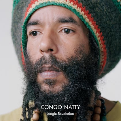 Rebel (Edit) album by Congo Natty - Drum and Bass Cover Art