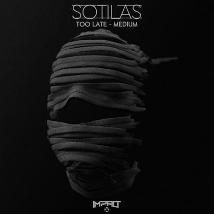 Too Late / Medium album by Sotilas - Drum and Bass Cover Art