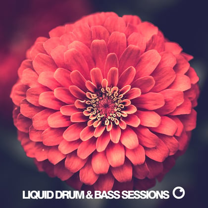 Liquid Drum & Bass Sessions 2020 Vol 8 album by Dreazz - Drum and Bass Cover Art