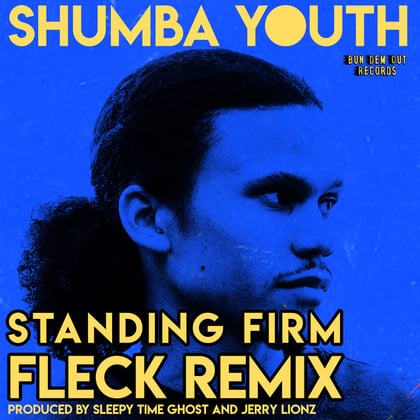 Standing Firm album by Fleck - Drum and Bass Cover Art
