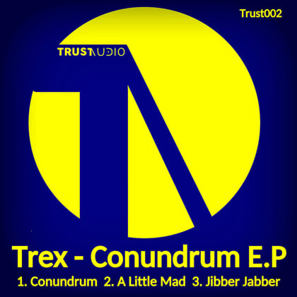 Conundrum album by Teej & Trex - Drum and Bass Cover Art