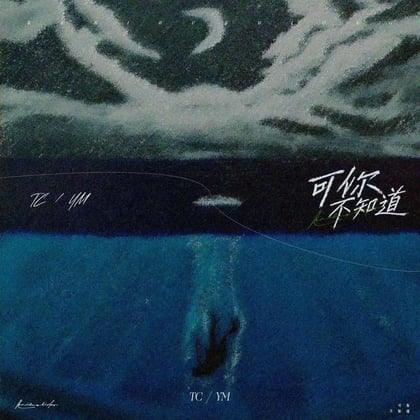 可你不知道 album by TC - Drum and Bass Cover Art