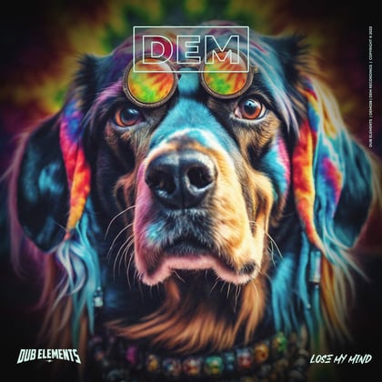 Lose My Mind album by Dub Elements - Drum and Bass Cover Art