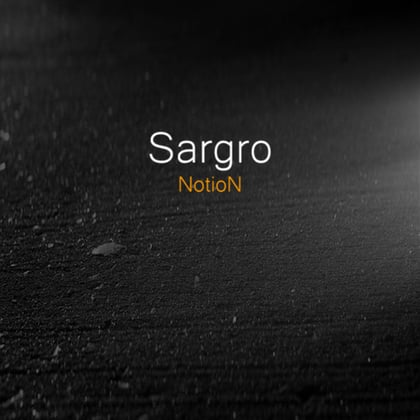 The Sargro L.P album by Notion - Drum and Bass Cover Art