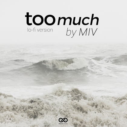 Too Much (Lo-Fi Sessions) album by Miv - Drum and Bass Cover Art