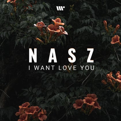 I Want Love You album by Nasz - Drum and Bass Cover Art