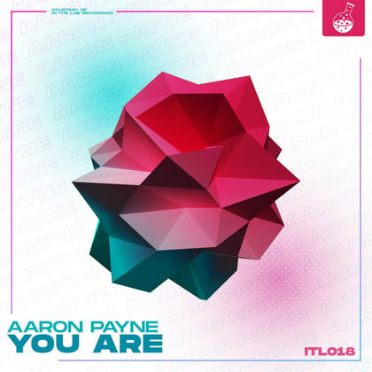 You Are album by Aaron Payne - Drum and Bass Cover Art