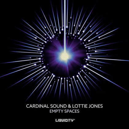 Empty Spaces album by Lottie Jones & Cardinal Sound - Drum and Bass Cover Art