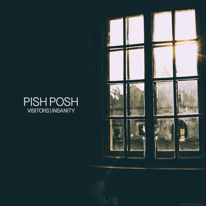 Visitors album by Pish Posh - Drum and Bass Cover Art