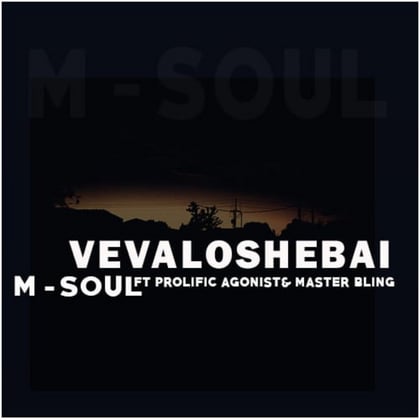 Vevaloshebai [with Master Bling] album by M-Soul - Drum and Bass Cover Art
