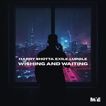 Wishing & Waiting album by Exile, Harry Shotta & Lupole - Drum and Bass Cover Art