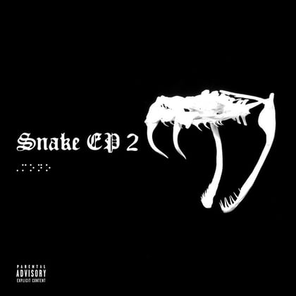 Snake EP 2 album by P Money - Drum and Bass Cover Art