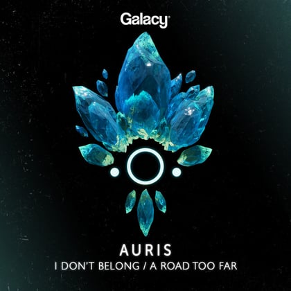 I Don't Belong / A Road Too Far album by Becca Jane Grey - Drum and Bass Cover Art