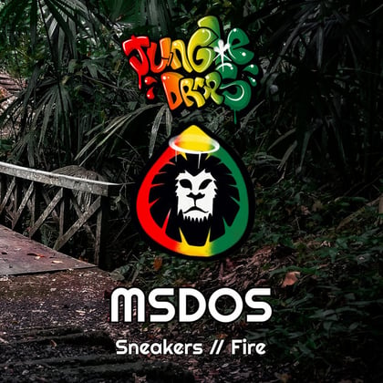 Jungle Drops 34 album by MSDOS - Drum and Bass Cover Art