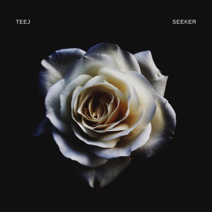 Seeker album by Teej - Drum and Bass Cover Art