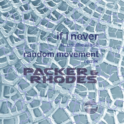 If I Never / We Live (Remixes) album by Greg Packer - Drum and Bass Cover Art