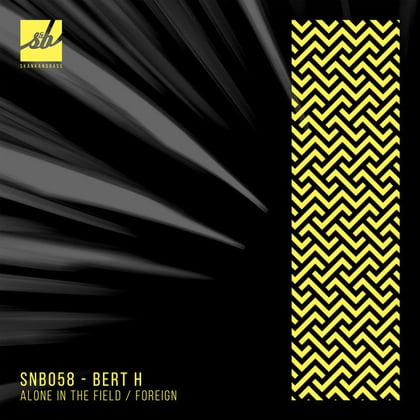 Alone in the Field / Foreign album by Bert H - Drum and Bass Cover Art