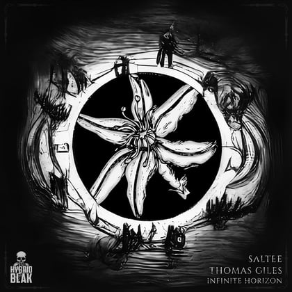 Infinite Horizon album by Saltee - Drum and Bass Cover Art