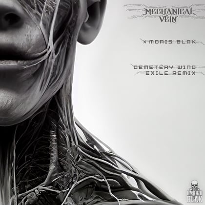 Cemetery Wind (Exile Remix) album by AIRGLO, Exile, Mechanical Vein & MORIS BLAK - Drum and Bass Cover Art