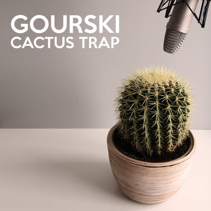Cactus Trap album by Gourski - Drum and Bass Cover Art