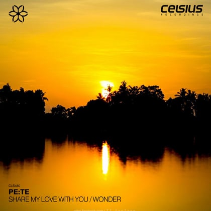 Share My Love With You / Wonder album by Pe:te - Drum and Bass Cover Art