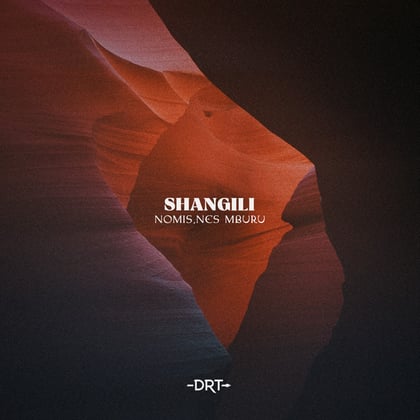 Shangili album by Tengu & Nomis (FR) - Drum and Bass Cover Art
