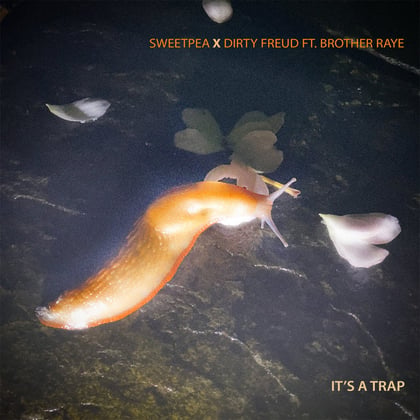 It's A Trap album by Sweetpea - Drum and Bass Cover Art