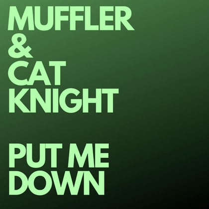Put Me Down (Radio Edit) Cover Image