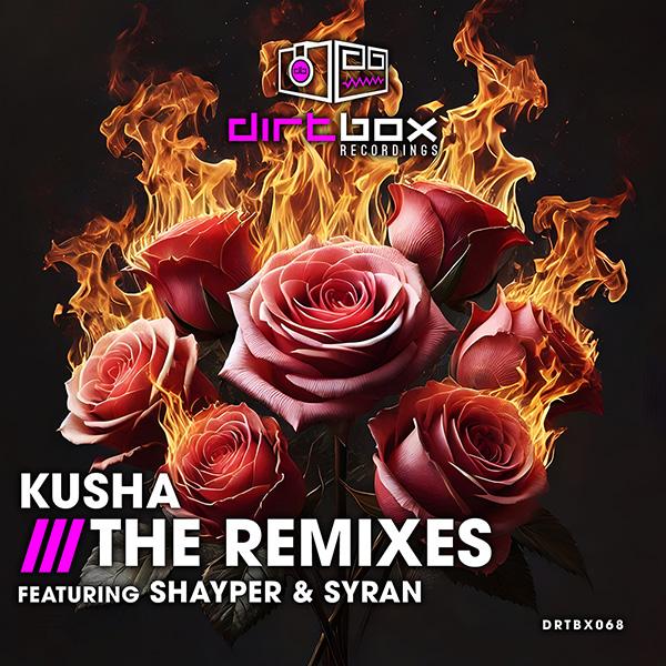 Cover image for The Remixes (SyRan & Shayper) by Kusha